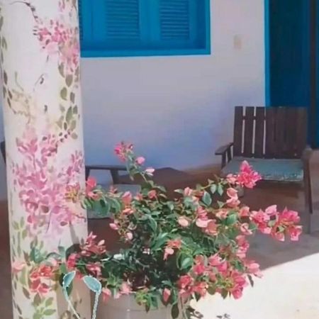 Recidencial Vila Pura Vida Canoa Quebrada Exteriör bild